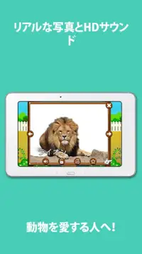 Kids Zoo：動物の鳴き声と写真 Screen Shot 10
