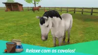 Horse World – Meu cavalo - Jogo com cavalos Screen Shot 5