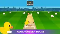 Trofeo de campeones - Cricket Fiebre 2017 Screen Shot 7