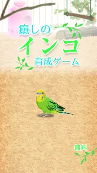 癒しのインコ育成ゲーム Screen Shot 3