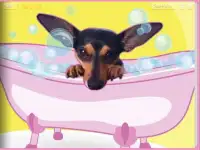 Zula the Dog - Virtual Pet Screen Shot 3