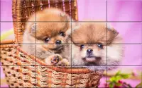 Tile Puzzle Pomeranian Dogs Screen Shot 4