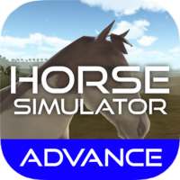 Horse Simulator Advance