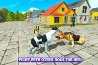Simulator anjing 2017: survival fight Screen Shot 2