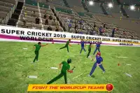 World Cricket International Fight Tournament Screen Shot 8
