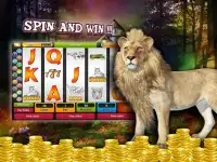 Safari Lion Slot Machine Games - Free Casino APP Screen Shot 3