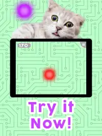 Games for Cats! - Cat Fishing Mouse Chase Cat Game Screen Shot 3