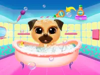 Pug Care Puppy Pet Baby Dog Daycare Screen Shot 2