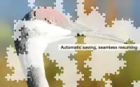 Jigsaw Puzzles: Lake Birds Screen Shot 3