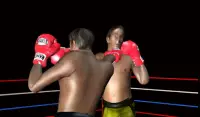 3D boxing game Screen Shot 7