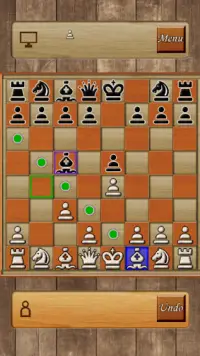 Chess Pro Screen Shot 3