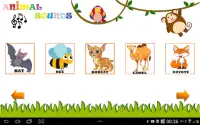 Hayvan Sesleri - Çocuklar için hayvan sesleri Screen Shot 23