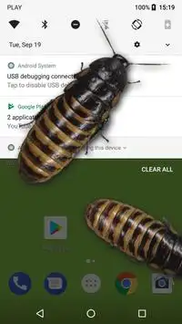 Cockroaches in Phone Ugly Joke Screen Shot 2