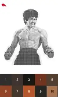 Bruce Lee Color by Number - Pixel Art Game Screen Shot 2