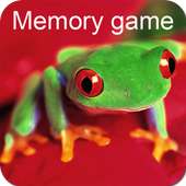 Colorful Frogs Memory Game