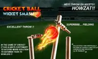 cricket bowling 3d 2017 Screen Shot 2