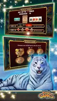 Tiger Treasure Slot Machine Screen Shot 1
