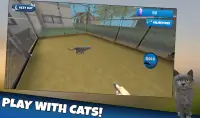Dog & Cat Shelter Simulator 3D Screen Shot 4