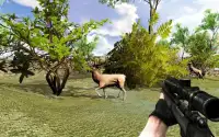 3 डी जंगली हिरण शिकारी खेल Screen Shot 1