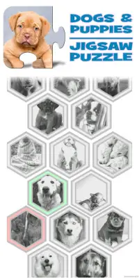 Dogs & Puppies Puzzles Screen Shot 0