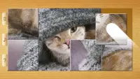 Cat Puzzles - Drag & Swap Screen Shot 3