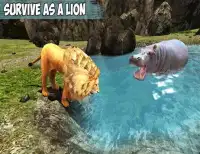 T-Rex Dino & Angry Lion Attack Screen Shot 7