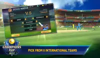 Cricket Champions Cup 2017 Screen Shot 7