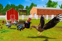 Rooster Simulator - Chick Life Screen Shot 5