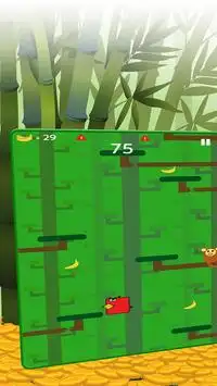 Crazy Monkey Jump Bananas Screen Shot 0
