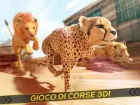 Leopardi contro Leoni! Gioco di Corsa Selvaggio Screen Shot 3