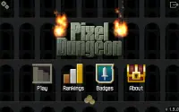 Pixel Dungeon Screen Shot 8