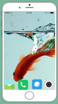 Fish Full HD Wallpaper Screen Shot 10