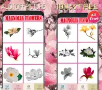 Magnolia Flowers Color By Number-Pixel Art 2020 Screen Shot 5