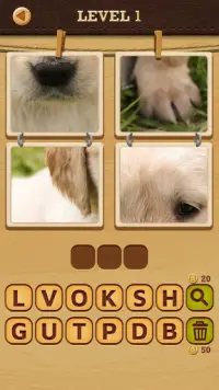 4 Pics Puzzle: Guess 1 Word Screen Shot 7