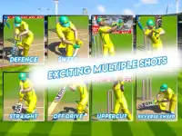 Cricket 2019 : Real World Cup Screen Shot 2