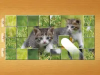 बिल्ली पहेलियाँ Screen Shot 18