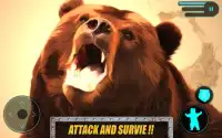 Wild Bear Real 3D Simulator Screen Shot 10