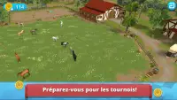 Horse World – Showjumping Premium - Fans équestres Screen Shot 4