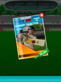 Knock Knock Cricket 2019 Screen Shot 12