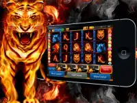 Fire Tiger: Free Slots Casino Screen Shot 2
