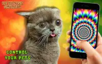 Cat hypnosis simulator Screen Shot 0