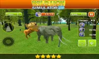 Wild Angry Lion Revenge Sim 3D Screen Shot 7