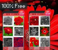 Red Flower Color By Number-Pixel Art Screen Shot 3