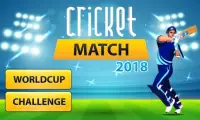 Cricket Match 2018 Screen Shot 0