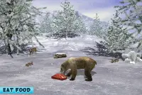 Polar Bear Family Survival Screen Shot 2