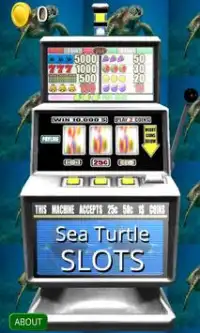 3D Sea Turtle Slots - Free Screen Shot 0