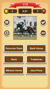 Horse Quiz Screen Shot 4