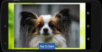 Dogs Puzzle Screen Shot 2