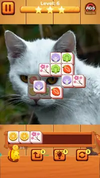 Cat match puzzle: block puzzle Screen Shot 5