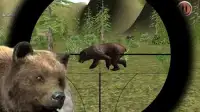 Forest Sniper Bear Hunter Screen Shot 0
